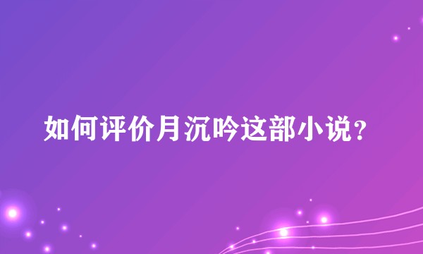如何评价月沉吟这部小说？