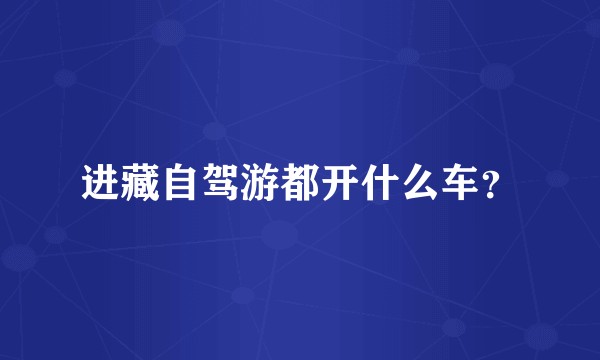 进藏自驾游都开什么车？