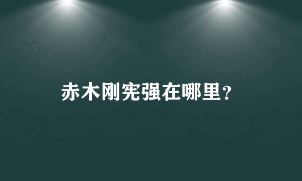 赤木刚宪强在哪里？