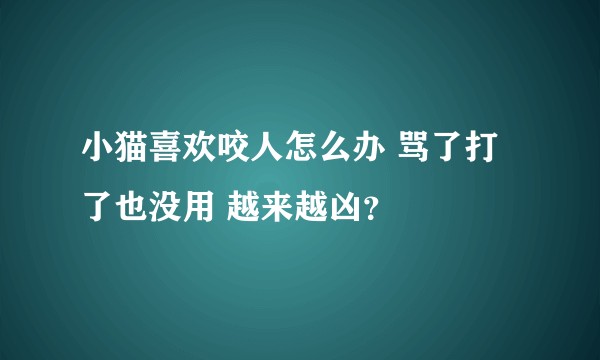 小猫喜欢咬人怎么办 骂了打了也没用 越来越凶？