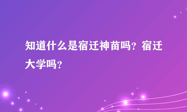 知道什么是宿迁神苗吗？宿迁大学吗？