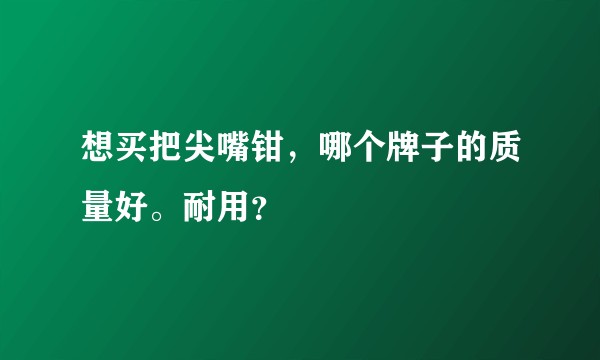 想买把尖嘴钳，哪个牌子的质量好。耐用？