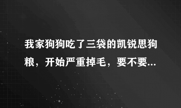 我家狗狗吃了三袋的凯锐思狗粮，开始严重掉毛，要不要带它去医院检查一下？还是只换粮就可以?
