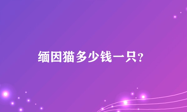 缅因猫多少钱一只？