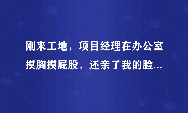 刚来工地，项目经理在办公室摸胸摸屁股，还亲了我的脸，目前不好离职怎么表达不满还能继续做完这个项目?