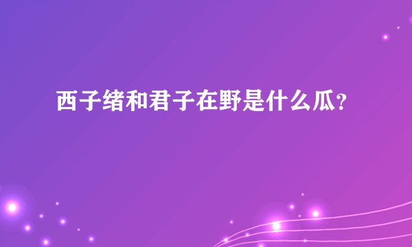 西子绪和君子在野是什么瓜？