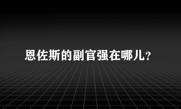 恩佐斯的副官强在哪儿？