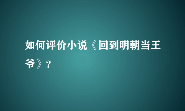 如何评价小说《回到明朝当王爷》？