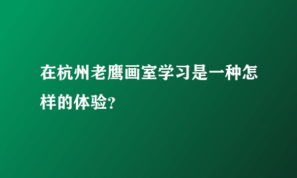 在杭州老鹰画室学习是一种怎样的体验？