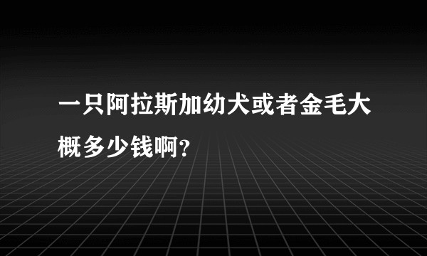 一只阿拉斯加幼犬或者金毛大概多少钱啊？