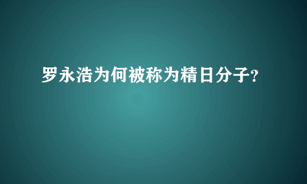 罗永浩为何被称为精日分子？