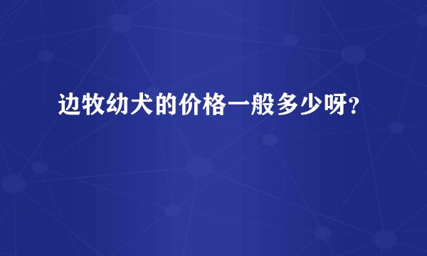 边牧幼犬的价格一般多少呀?