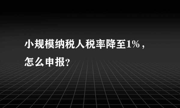 小规模纳税人税率降至1%,怎么申报?