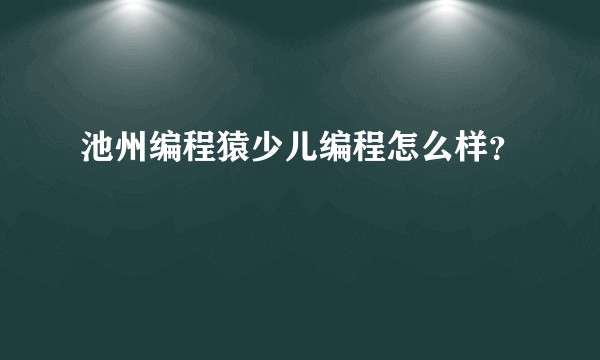 池州编程猿少儿编程怎么样？