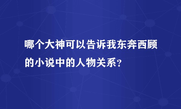 哪个大神可以告诉我东奔西顾的小说中的人物关系?