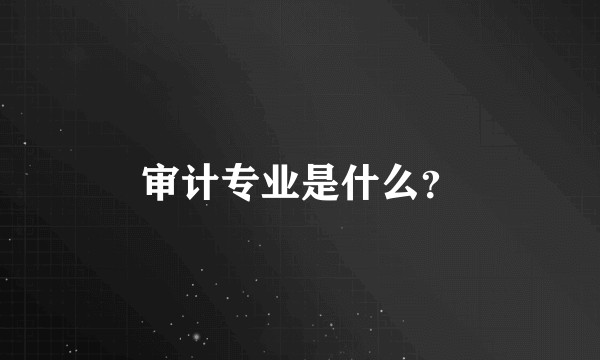 审计专业是什么？