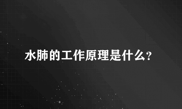 水肺的工作原理是什么？