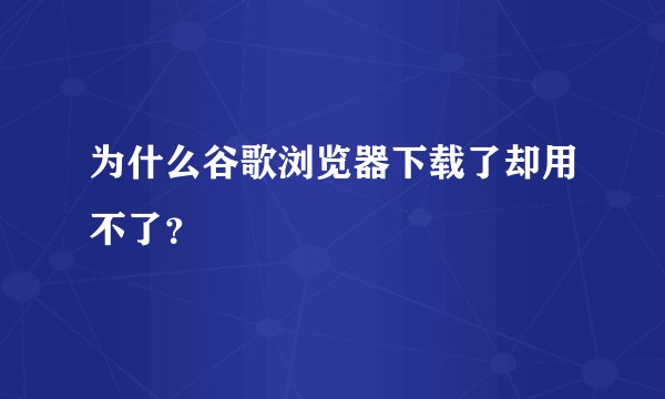 为什么谷歌浏览器下载了却用不了？