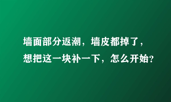 墙面部分返潮，墙皮都掉了，想把这一块补一下，怎么开始？