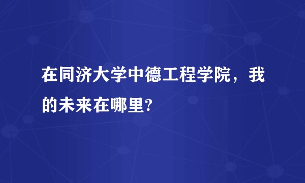在同济大学中德工程学院,我的未来在哪里?