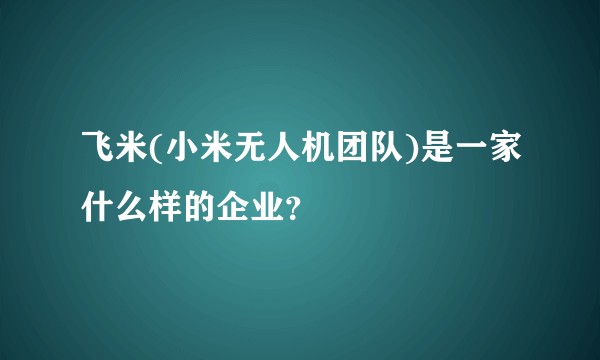 飞米(小米无人机团队)是一家什么样的企业？