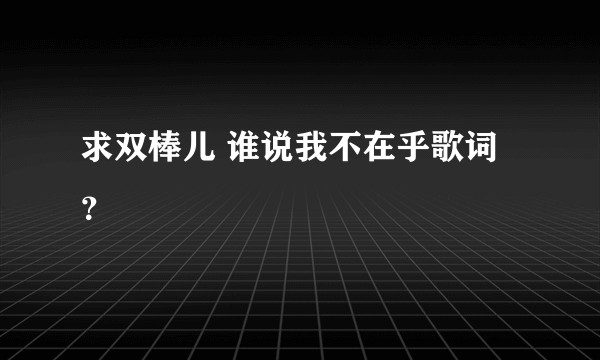 求双棒儿 谁说我不在乎歌词？