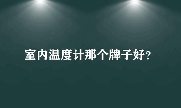 室内温度计那个牌子好？