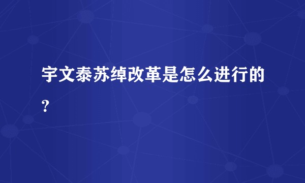宇文泰苏绰改革是怎么进行的？