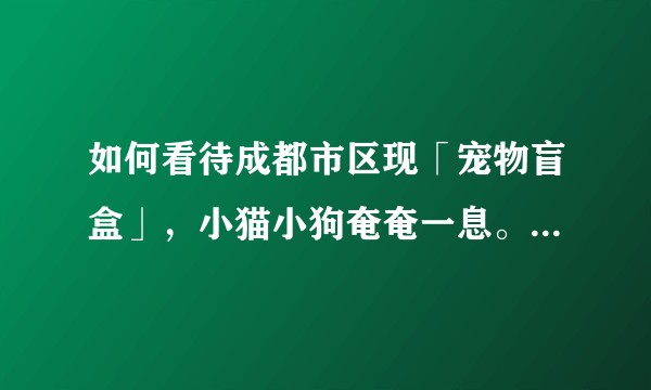 如何看待成都市区现「宠物盲盒」，小猫小狗奄奄一息。「宠物盲盒」这条产业链存在什么问题？