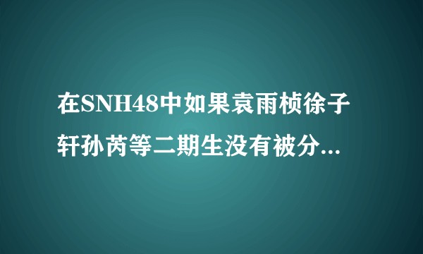 在SNH48中如果袁雨桢徐子轩孙芮等二期生没有被分到S队而是N队，现在会不会是top？