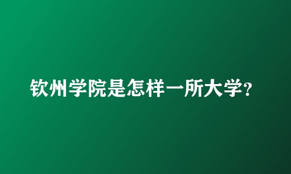 钦州学院是怎样一所大学？