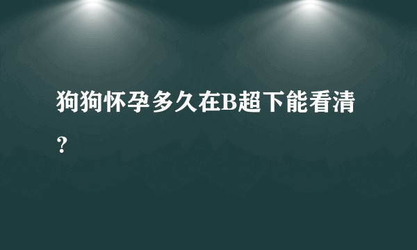 狗狗怀孕多久在B超下能看清？