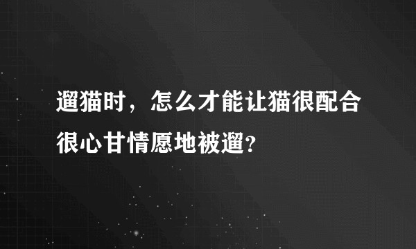 遛猫时，怎么才能让猫很配合很心甘情愿地被遛？