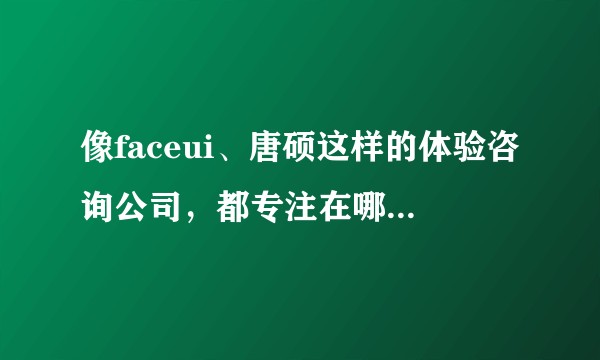 像faceui、唐硕这样的体验咨询公司，都专注在哪些行业？