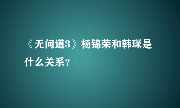 《无间道3》杨锦荣和韩琛是什么关系？