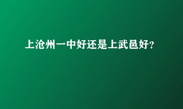 上沧州一中好还是上武邑好？