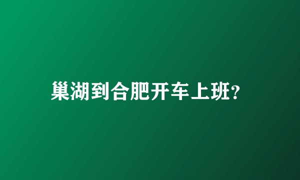 巢湖到合肥开车上班？