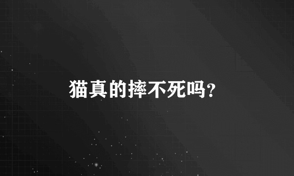 猫真的摔不死吗？