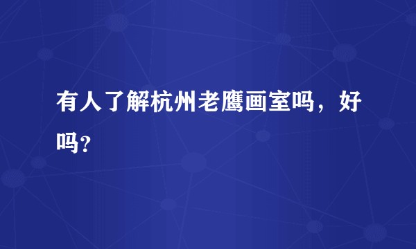 有人了解杭州老鹰画室吗，好吗？