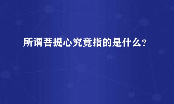 所谓菩提心究竟指的是什么？