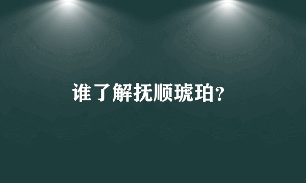 谁了解抚顺琥珀？