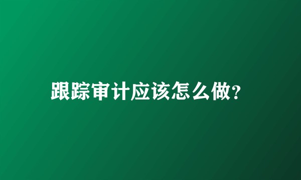 跟踪审计应该怎么做？