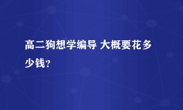 高二狗想学编导 大概要花多少钱？