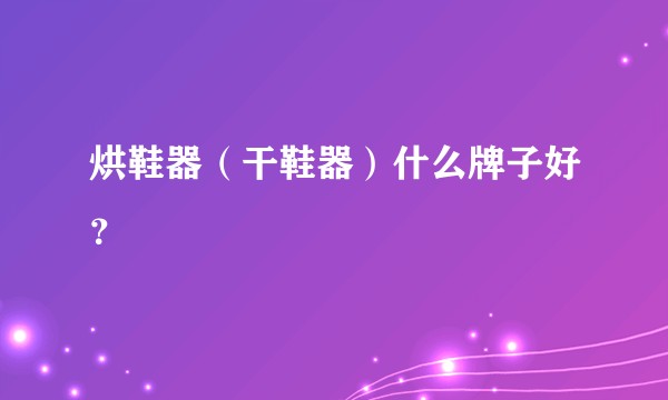 烘鞋器（干鞋器）什么牌子好？