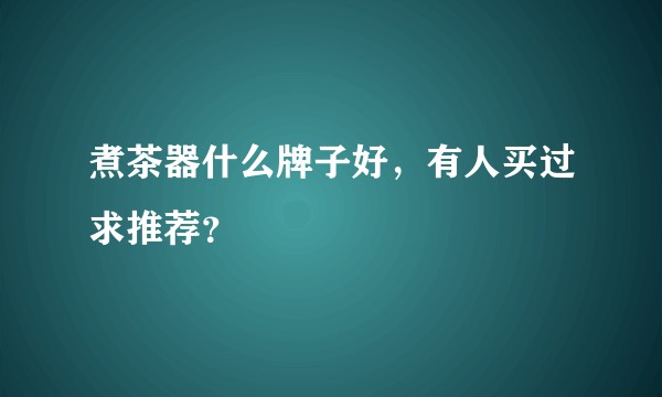 煮茶器什么牌子好,有人买过求推荐?