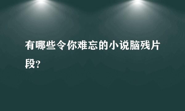 有哪些令你难忘的小说脑残片段？