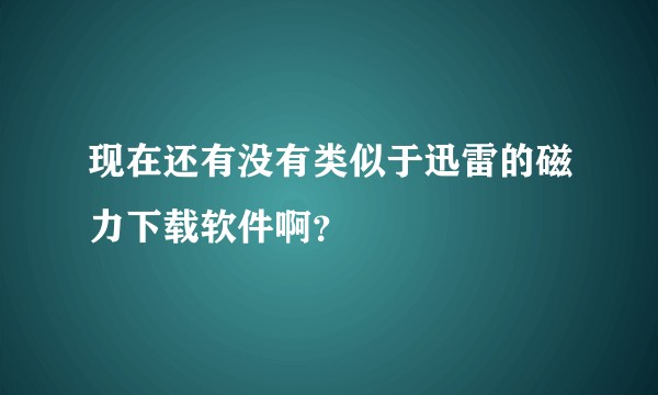 现在还有没有类似于迅雷的磁力下载软件啊?