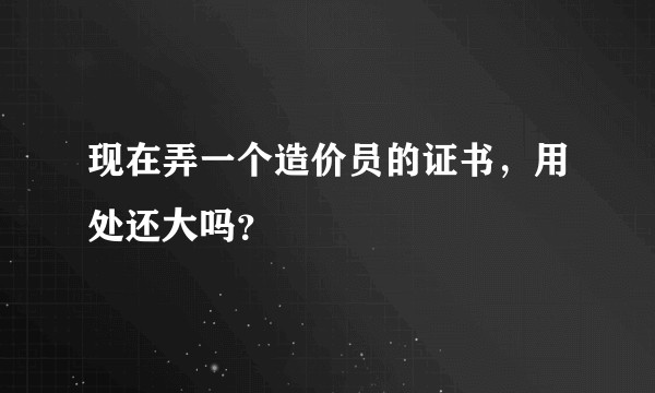 现在弄一个造价员的证书，用处还大吗？