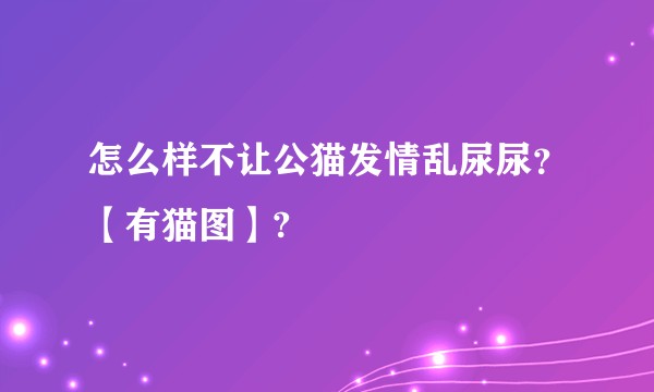 怎么样不让公猫发情乱尿尿？【有猫图】?