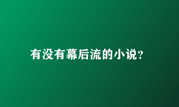 有没有幕后流的小说？